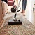 carpetcleaningtorquay