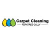 carpetcleaningferntreegul