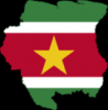 suriname-visa-online