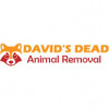 deadanimalremoval