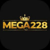 MEGA_228