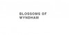 blossomofwyndham