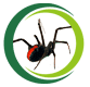 pestcontrolperthwa